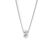Zilver Wit